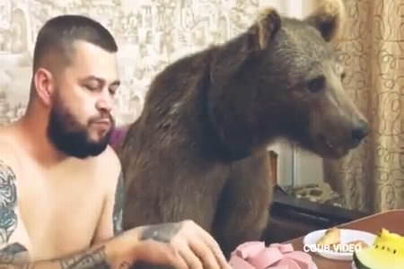 Breakfast with a bear